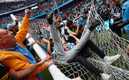 Manchester City ganó su cuarto título de Premier League en cinco años (Reuters)