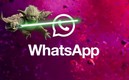 Ahora podrás enviar notas de voz como el maestro Yoda. (Captura de twitter WhatsApp)