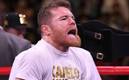 Canelo estuvo a punto de ser noqueado en los inicios de su carrera (Imago)