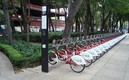 Ecobicis saldrán en rifa