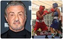 El Zócalo de la Ciudad de México intentará ganar un Récord Guinness en el box (Mediotiempo)