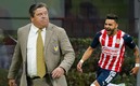 Miguel Herrera aseguró que Tigres no necesita refuerzos (Imago7)