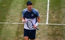 Andy Murray (Captura de Twitter ATP Tour Español).