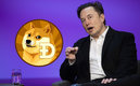 Musk hizo popular la criptomoneda | AFP