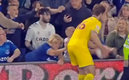 Aficionada del Everton agredió a jugador del Crystal Palace.