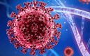 La nueva variante de ómicron alerta a la comunidad científica.