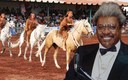 Don King tiene su licencia de conducir de Texcoco, Estado de México. (Foto: Mexsport)