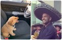 Te presentamos los mejores memes del 21 de julio (@_Luciernaga13 y captura de pantalla)