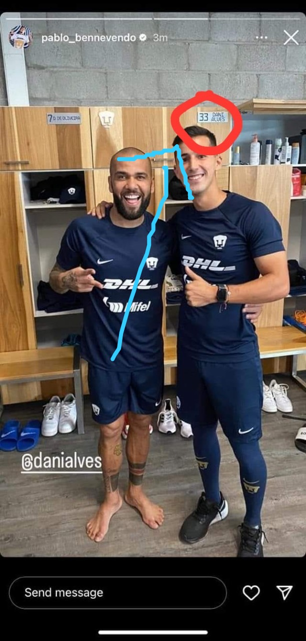 pumas