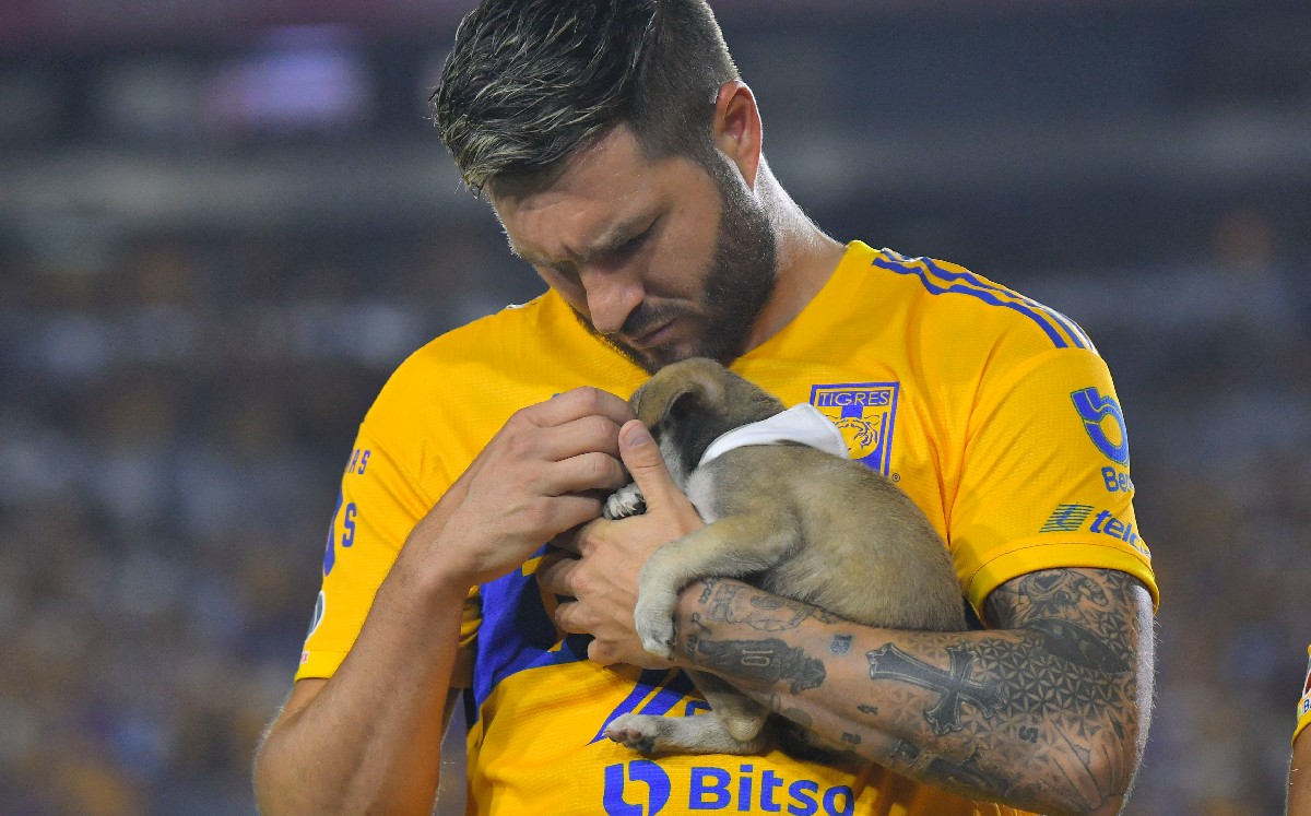 https://cdn2.mediotiempo.com/uploads/media/2022/07/25/gignac-con-el-perrito.jpg