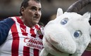 Chiva Loca fue homenajeado en el estadio de Chivas. (Foto: Mexsport)