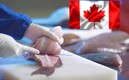 Canadá está en busca de mexicanos.