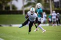 Miami no clasificó a Playoffs en la temporada del 2021 (@MiamiDolphins)