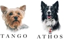 In memoriam: Athos y Tango / Cortesía