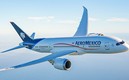 El avión de Aeromexico cubría la ruta México-Nueva York.