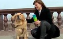 La reportera con el perrito que se robó el micrófono y muchos corazones en redes. (Foto de Russian TV)