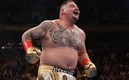 Andy Ruiz fue campeón del mundo de los pesos pesados con el peso que tiene en la actualidad.