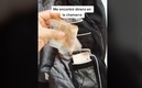 Chamarra con dinero / Mau