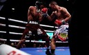 Juan Francisco "Gallo" Estrada | @DAZNBoxing