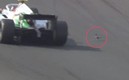 La paloma paseó por la pista.