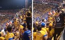 Aficionados de Tigres se pelearon en la tribuna.