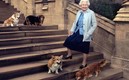 La Reina Isabel II tenía varios perritos.