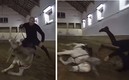 Zidane se cayó del caballo, pero supo caer con estilo.