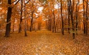 Octubre / Pixabay