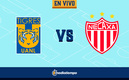 Tigres vs Necaxa, repechaje EN VIVO