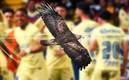 América celebra sus 106 años de vida jugando la Liguilla (Imago7)