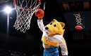 Rocky, mascota de Denver Nuggets, gana más dinero que algunos basquetbolistas. (Foto FB Denver Nuggets)