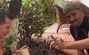 Le juega al mago con Julio César Chávez
