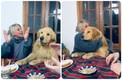 Perrito se emociona por celebrar el cumpleaños | Captura de pantalla