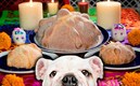 El tierno perrito 'roba ofrendas' fue compartido en TikTok. (Freepik)
