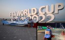 Aficionados de Argentina pedalearon hasta Qatar para el Mundial. (AFP)