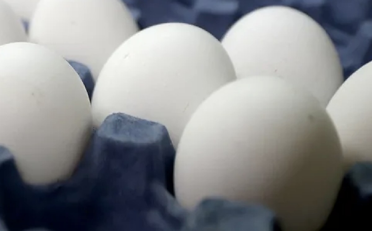 Los huevos tienen que ser analizados.