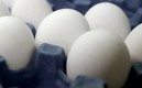 Los huevos tienen que ser analizados.