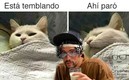 Los memes no faltaron tras el sismo.