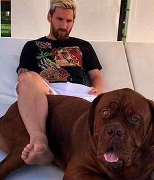 Hulk, el perro de Messi que es un Dogo de Burdeos. (IG @LeoMessi)