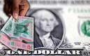El peso ganó terreno frente al dólar este 11 de enero. (Reuters)
