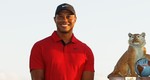 Tiger Woods (Captura de Twitter Tiger Woods).