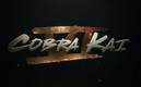 'Cobra Kai' llegará a su final en la sexta temporada. (Imagen: Netflix)