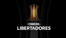 Definidas las series de semifinal de la Copa Libertadores