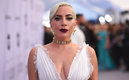Lady Gaga pudo recuperar a sus mascotas (AFP)