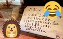 La fotografía del usuario donde se puede apreciar al cepillo que sustituye al erizo (Especial).