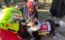Los perritos rescatistas ayudan en la zona del desastre luego del terremoto en Turquía y Siria. Foto: (Especial)