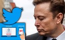 Elon Musk, dueño de Twitter, ha implementado cambios polémicos. (Reuters)