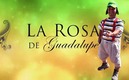 Medio Metro, a La Rosa de Guadalupe