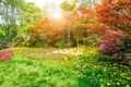 El equinoccio de primavera se dará este sábado 20 de marzo (Foto: Freepik)