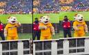 La mascota de los Tigres está en el ojo del huracán por la polémica seña. Foto: (Especial)